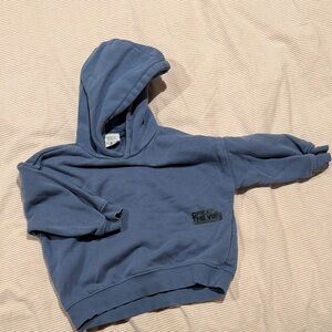 Toddler Zara Hoodie
